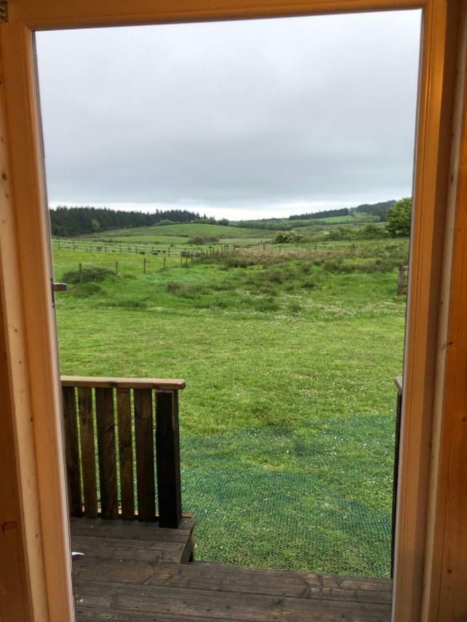 Отель Clydesdale Shepherds Hut Белфаст Экстерьер фото